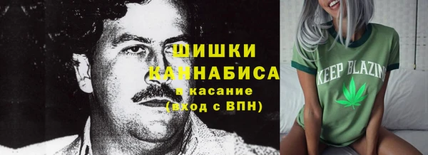 хмурый Заводоуковск