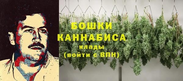хмурый Заводоуковск