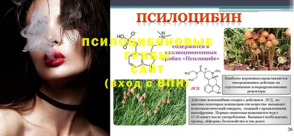 хмурый Заводоуковск