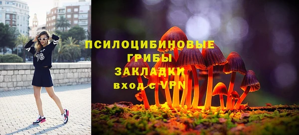 ГАЛЛЮЦИНОГЕННЫЕ ГРИБЫ Заволжск