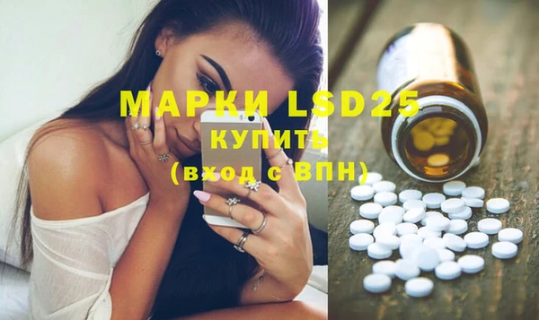 ГАЛЛЮЦИНОГЕННЫЕ ГРИБЫ Заволжск